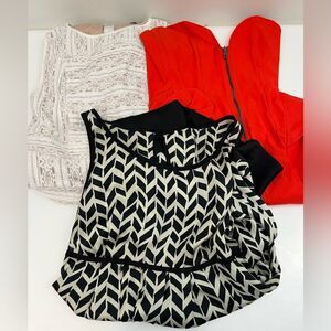 Designer Dress Lot Size Small Vince Camuto, Nasty Gal, Italian Silk Dress